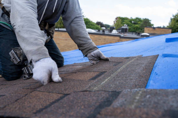 Quick and Trustworthy Emergency Roof Repair Services in Old Fig Garden, CA